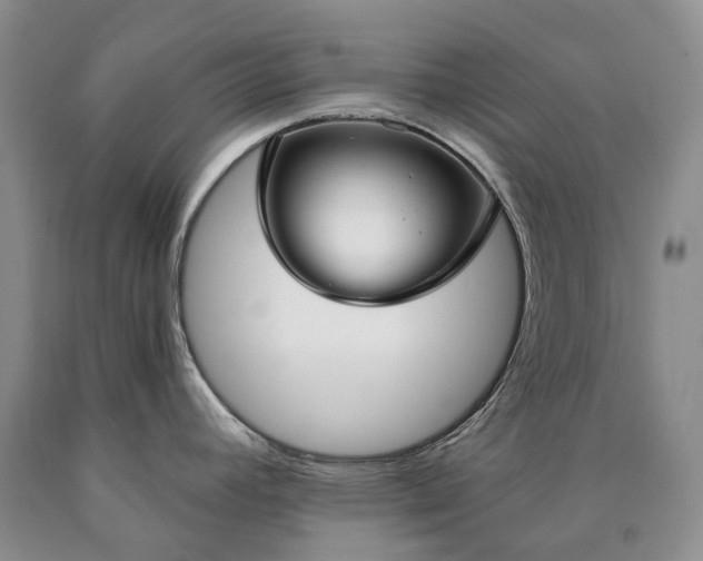 X0000090461392200707201325