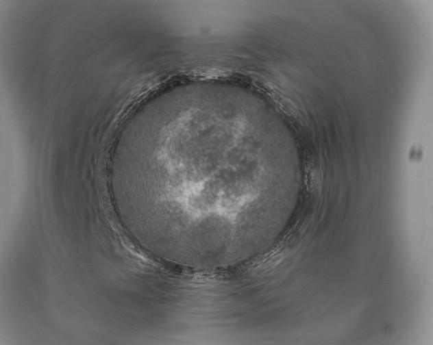 X0000090461393200707201324