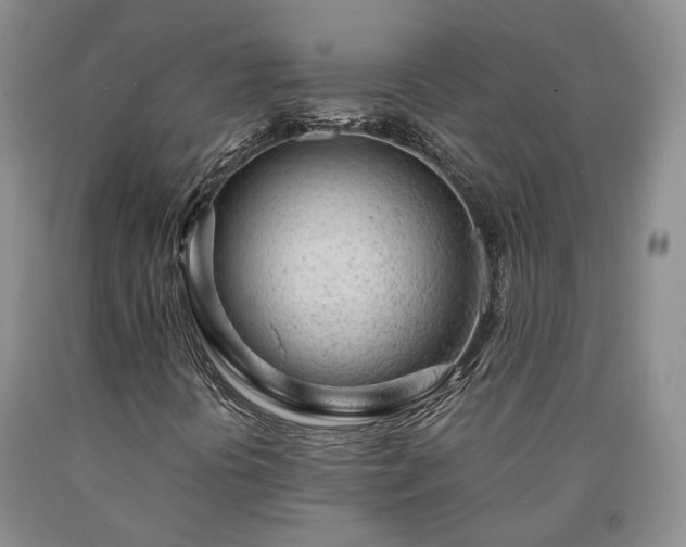 X0000090461394200707201324
