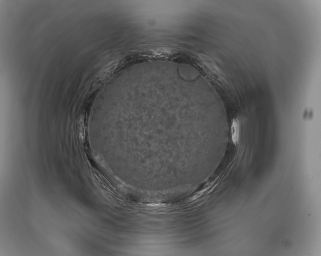X0000090461395200707201324