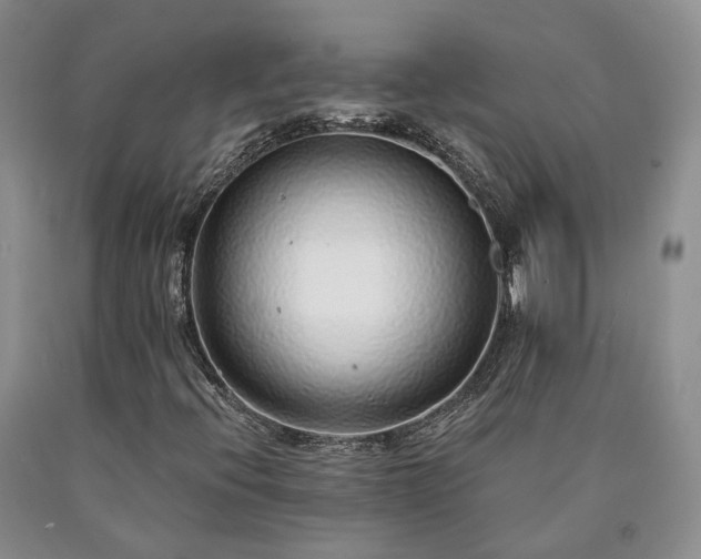 X0000090461396200707201324