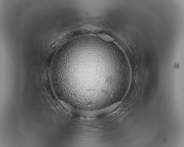 X0000090461397200707201324