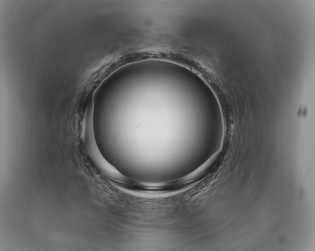X0000090461398200707201324