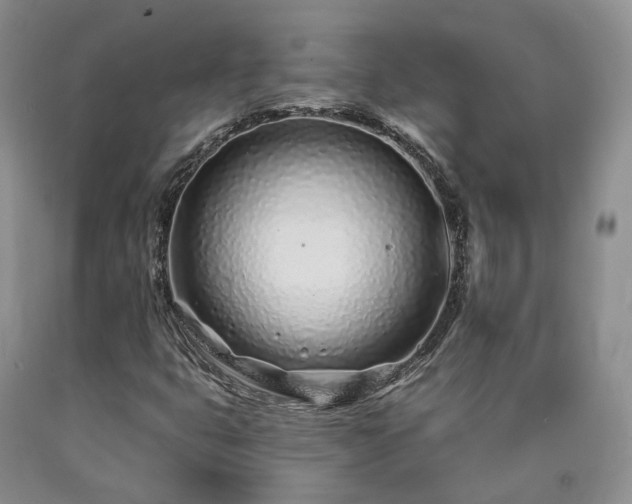 X0000090461399200707201324