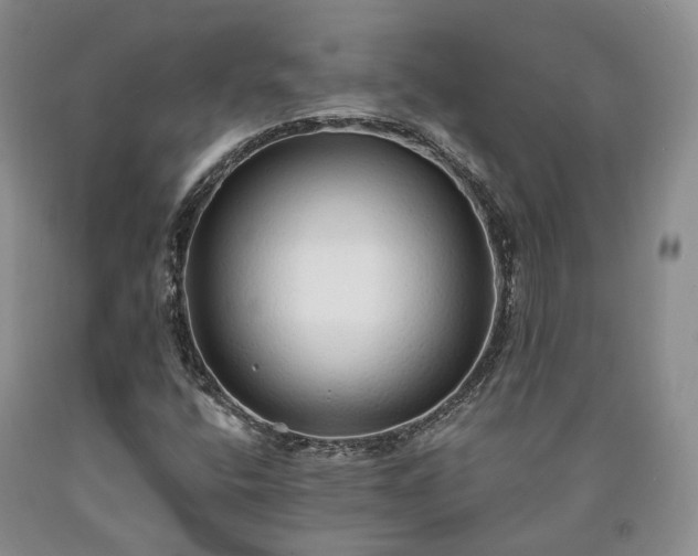 X0000090461400200707201324