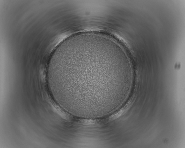 X0000090461401200707201324