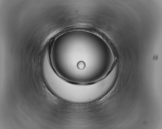 X0000090461402200707201324