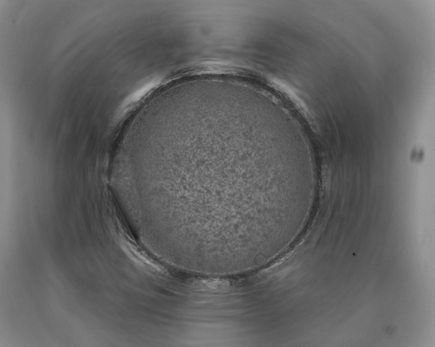 X0000090461403200707201324