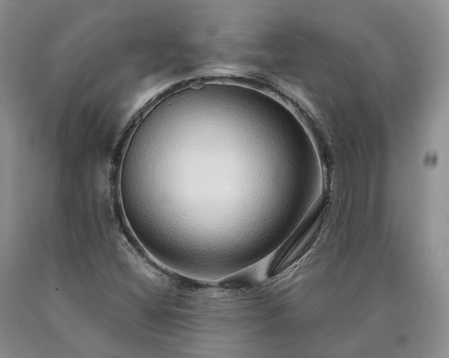 X0000090461404200707201324