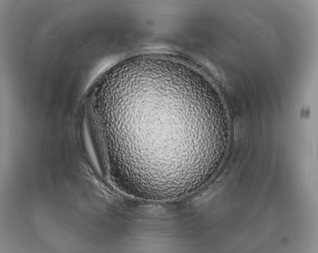 X0000090461405200707201324