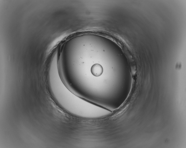 X0000090461406200707201324