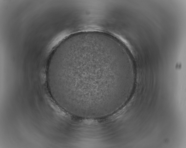 X0000090461407200707201324