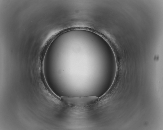 X0000090461408200707201324