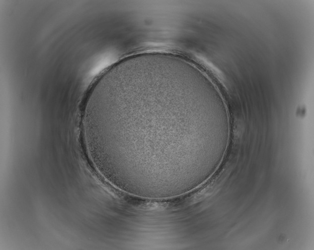X0000090461411200707201324