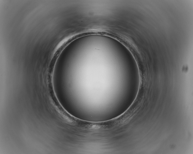 X0000090461412200707201324