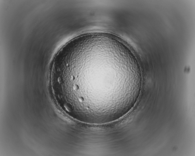 X0000090461413200707201325
