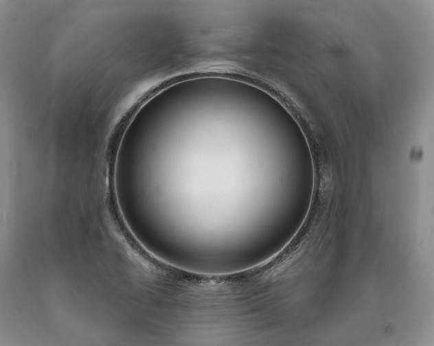 X0000090461414200707201325