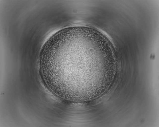 X0000090461415200707201325