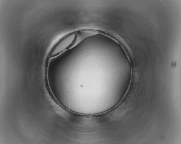X0000090461416200707201325