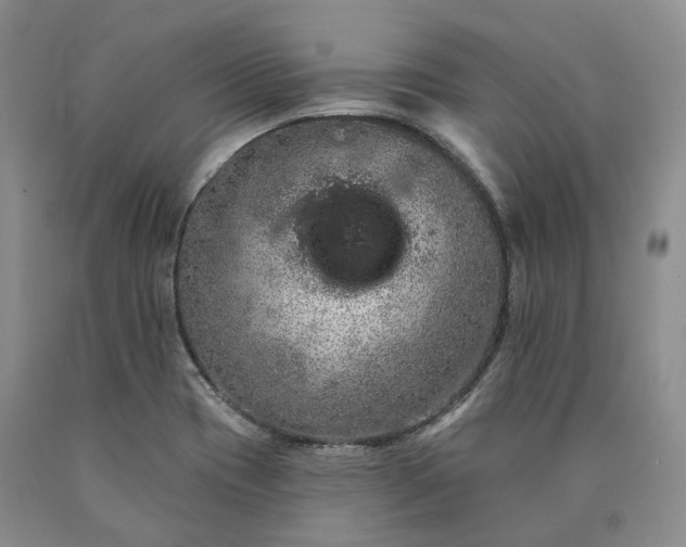 X0000090461417200707201325