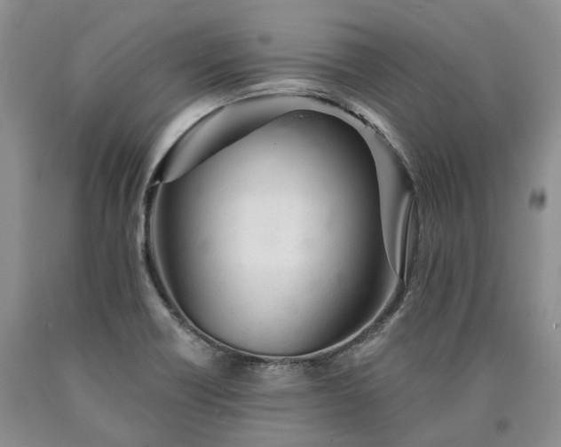 X0000090461418200707201325