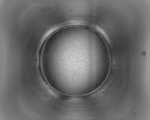 X0000090461419200707201325