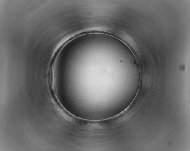 X0000090461420200707201325
