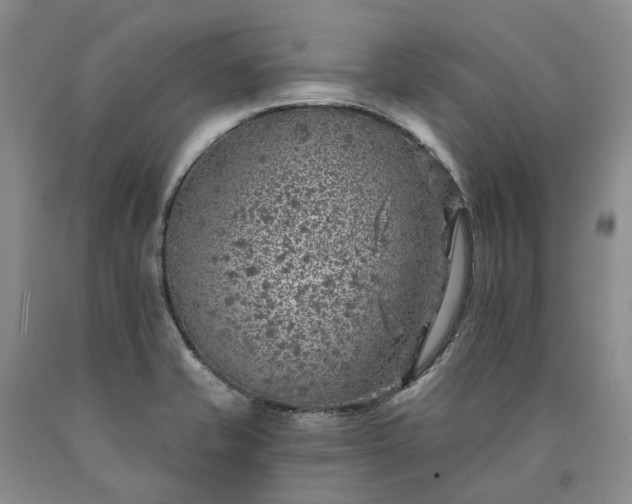 X0000090461421200707201325