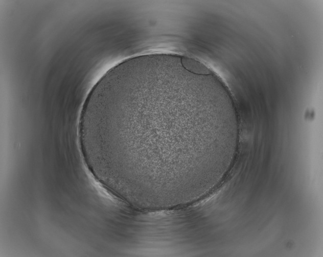 X0000090461423200707201325