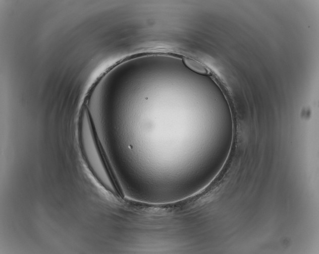 X0000090461424200707201325