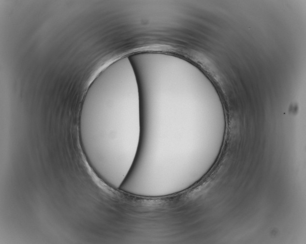 X0000090461425200707201325