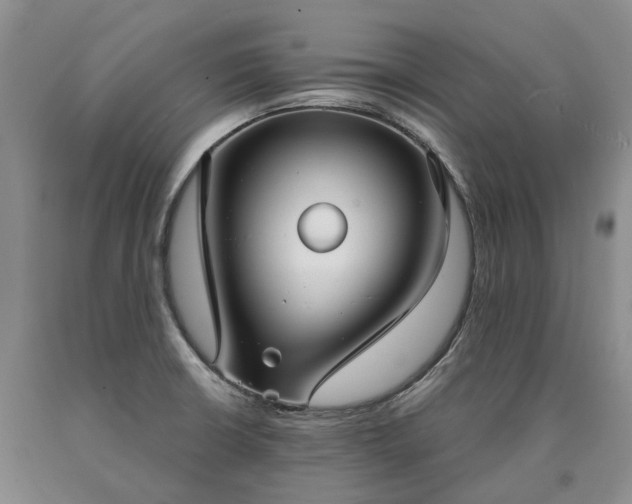 X0000090461426200707201325
