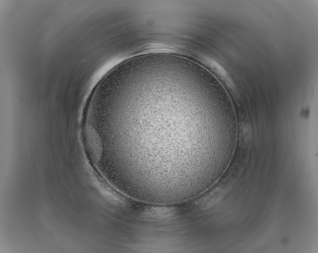 X0000090461427200707201325