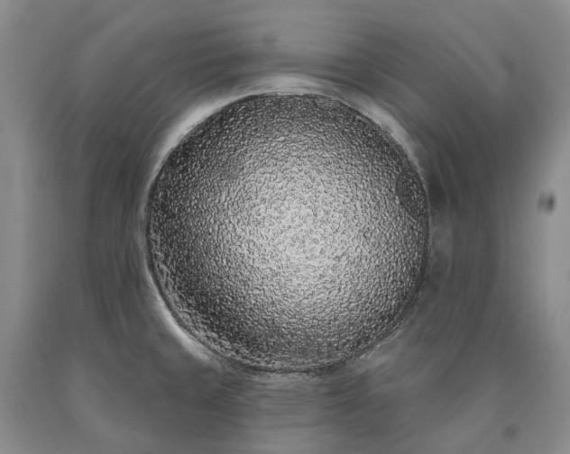X0000090461429200707201325
