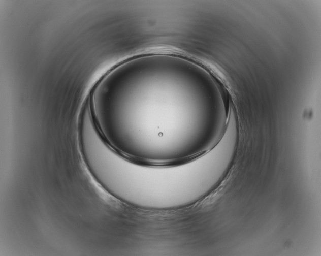 X0000090461430200707201325