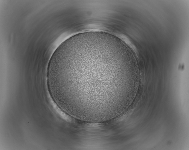 X0000090461431200707201325