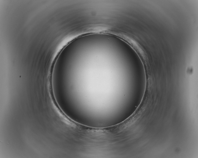 X0000090461432200707201325