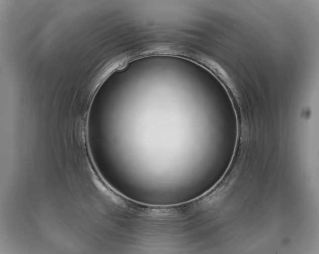 X0000090461433200707201325