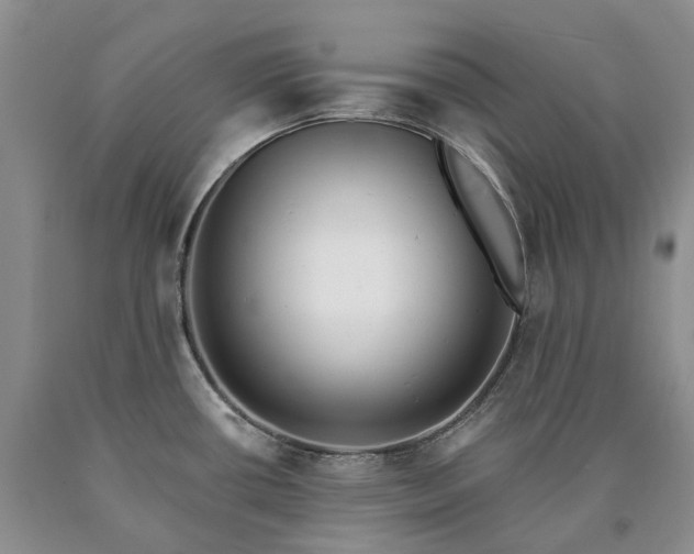 X0000090461434200707201325