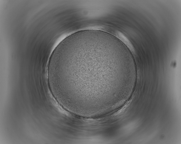X0000090461436200707201325