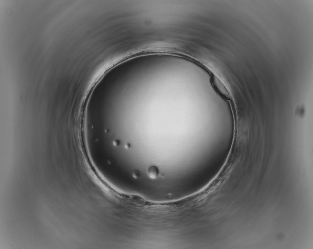 X0000090461437200707201325