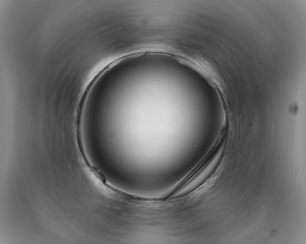 X0000090461438200707201325