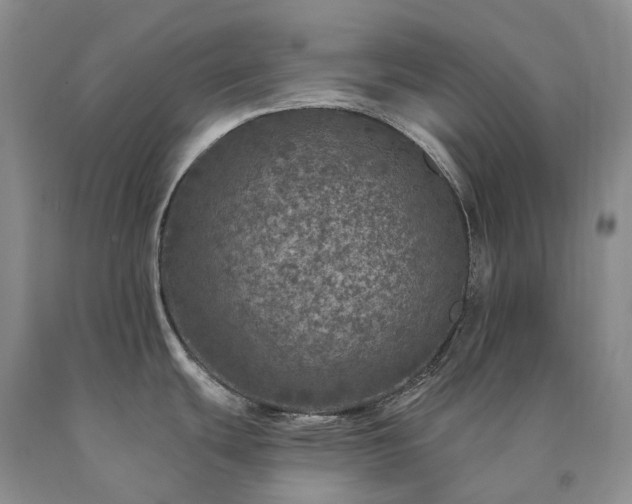 X0000090461439200707201325