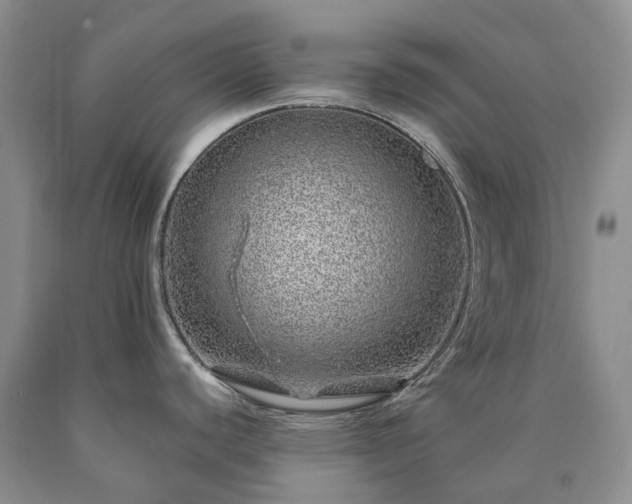 X0000090461440200707201325