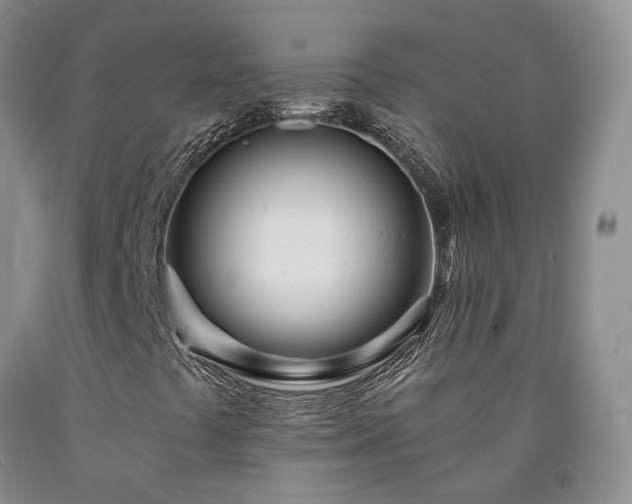 X0000090461441200707201324