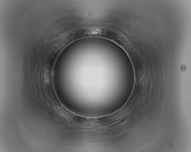 X0000090461442200707201324
