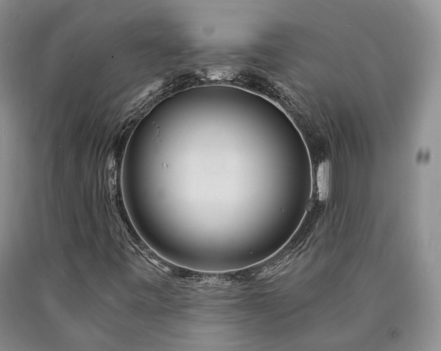 X0000090461443200707201324
