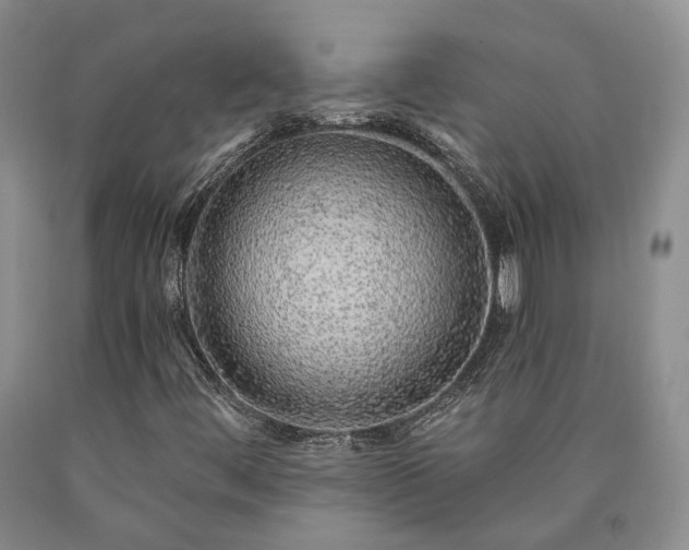 X0000090461444200707201324