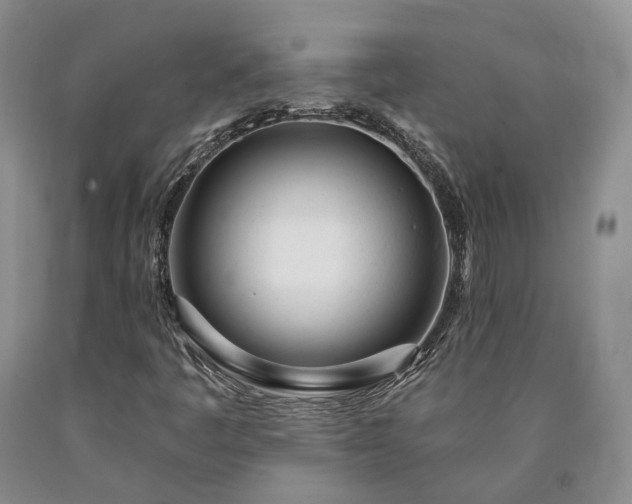 X0000090461445200707201324