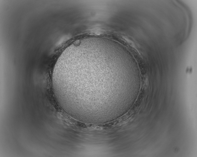X0000090461446200707201324